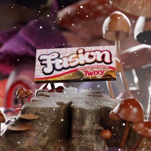 fusion chocolate mushroom bar